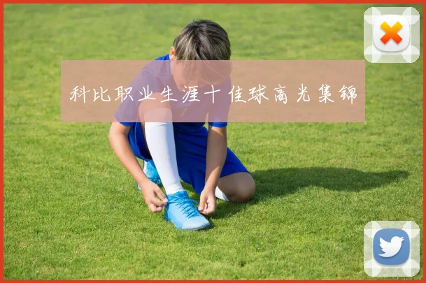 科比职业生涯十佳球高光集锦